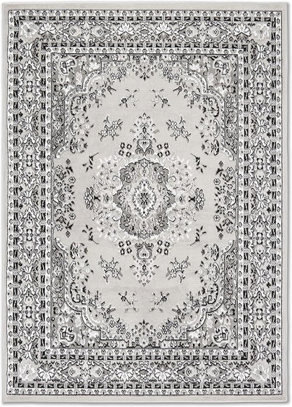 Home Dynamix Premium Sakarya Traditional Medallion Border Area Rug, Gray, 21"x35" Rectangle