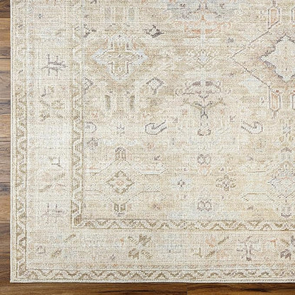 Hauteloom Nakia Bohemian Vintage Medallion Area Rug - Damask Floral Fade Look Carpet for Living Room, Bedroom - Farmhouse - Ivory, Cream, Medium Brown - 2'2" x 3'9"