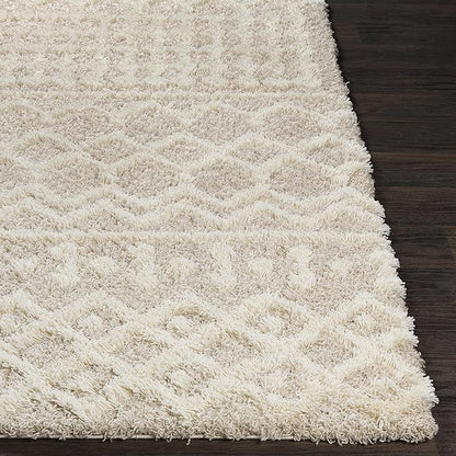 Livabliss Hapsburg Moroccan Shag Runner Area Rug, 2'7" x 7'3", Beige