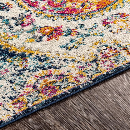 Livabliss Area Rugs - 2x3 Romaine Vintage Boho Fuchsia Mustard Blue Area Rug for Living Room Bedroom - Floral Medallion Stain Resistant Carpet for Kitchen, Nursery, Office (2' x 3')