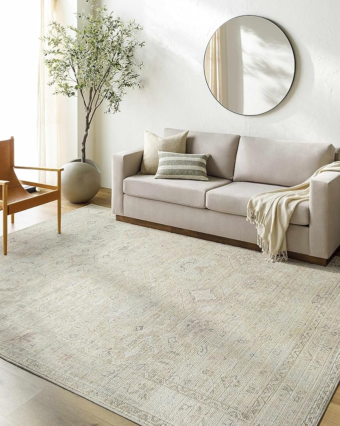 Hauteloom Nakia Bohemian Vintage Medallion Area Rug - Damask Floral Fade Look Carpet for Living Room - Farmhouse - Ivory, Cream, Medium Brown - 9'2" x 12' (9x12 Area Rug)