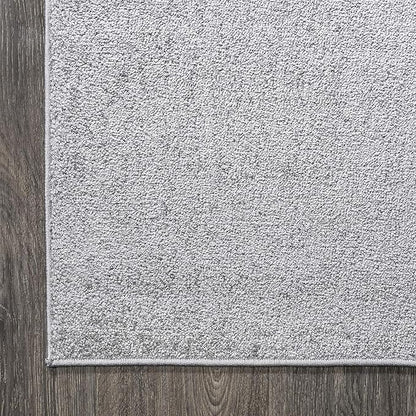 JONATHAN Y Haze Solid Low-Pile Light Gray Indoor Area Rug 9x12, Coastal,Bohemian,Minimalist,Classic, Easy-Cleaning for Living Room,Bedroom,Kitchen,Pet Friendly,Non-Shedding (SEU100K-9)