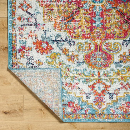 Livabliss Odelia Vintage Bohemian Runner Area Rug,2'7" x 7'3",Orange/Aqua