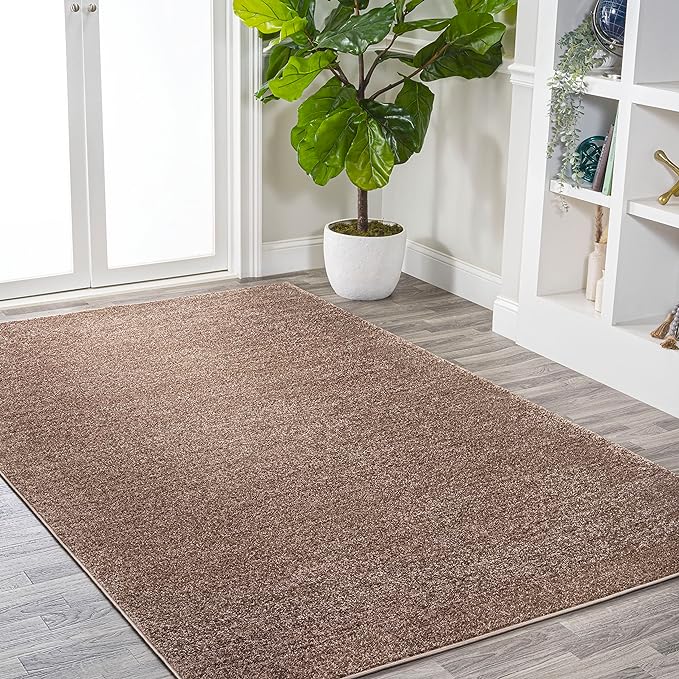 Eyely UES100J-6 Supersoft Haze Solid Low-Pile Indoor Area Rug, Coastal, Bohemian, Minimalist, Classic, Casual for Bedroom,Kitchen,Living Room,Non Shedding,Easy-Washing, Brown, 6 X 9