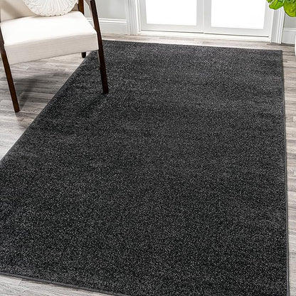 Eyely UES100I-9 Supersoft Haze Solid Low-Pile Indoor Area Rug Casual;Contemporary;Solid;Traditional, Bedroom, Kitchen, Living Room, Easy-Cleaning, Non-Shedding, 9 X 12, Black
