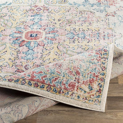 Livabliss Area Rugs - 7x9 Odelia Vintage Boho Red Off-White Blue Area Rug for Living Room Bedroom - Floral Medallion Stain Resistant Carpet for Kitchen, Nursery, Office (6'7" x 9')