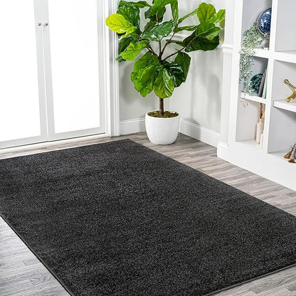 Eyely UES100I-9 Supersoft Haze Solid Low-Pile Indoor Area Rug Casual;Contemporary;Solid;Traditional, Bedroom, Kitchen, Living Room, Easy-Cleaning, Non-Shedding, 9 X 12, Black