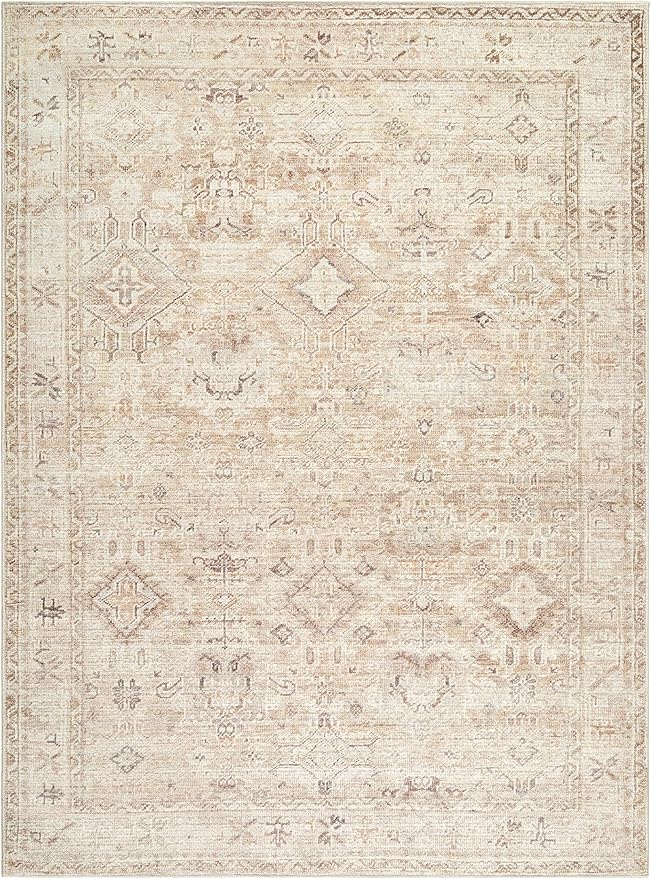 Hauteloom Nakia Living Room, Bedroom Area Rug - Traditional - Beige, Taupe, Ivory - 9'1" x 12'
