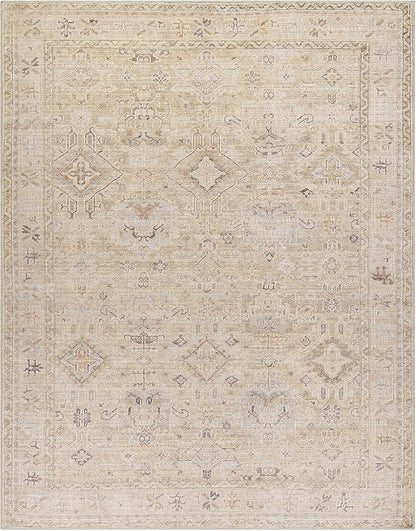 Hauteloom Nakia Bohemian Vintage Medallion Area Rug - Damask Floral Fade Look Carpet for Living Room, Bedroom - Farmhouse - Ivory, Cream, Medium Brown - 9'11" x 14'
