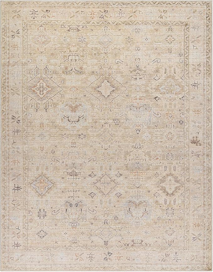 Hauteloom Nakia Bohemian Vintage Medallion Area Rug - Damask Floral Fade Look Carpet for Living Room - Farmhouse - Ivory, Cream, Medium Brown - 9'2" x 12' (9x12 Area Rug)