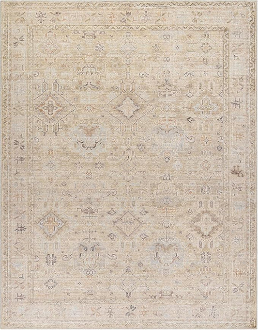 Hauteloom Nakia Bohemian Vintage Medallion Area Rug - Damask Floral Fade Look Carpet for Living Room - Farmhouse - Ivory, Cream, Medium Brown - 9'2" x 12' (9x12 Area Rug)