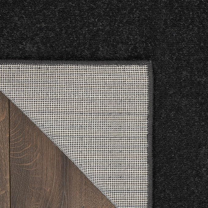 Nourison Home Nourison Essentials Black 3' x 5' Area Rug - Easy Clean, Non Shedding, Bed Room, Living Room, Dining Room, Kitchen (3' x 5')