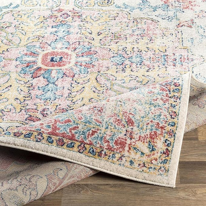Livabliss Area Rugs - 5x7 Odelia Vintage Boho Red Off-White Blue Area Rug for Living Room Bedroom - Floral Medallion Stain Resistant Carpet for Kitchen, Nursery, Office (5'3" x 7'3")